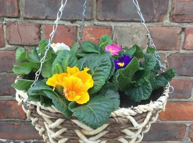 Mowbray Stable Thirsk