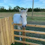 Mowbray Stable * ת'ירסק