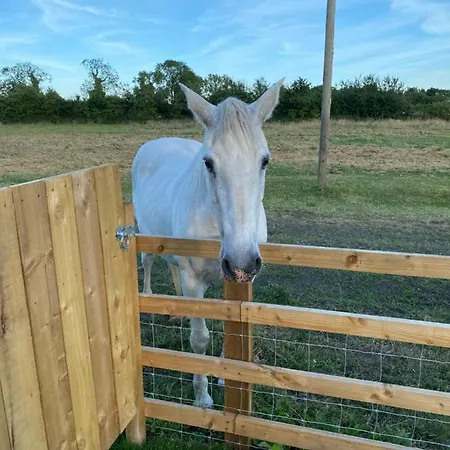 Mowbray Stable * 瑟斯克