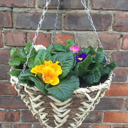 Mowbray Stable ת'ירסק