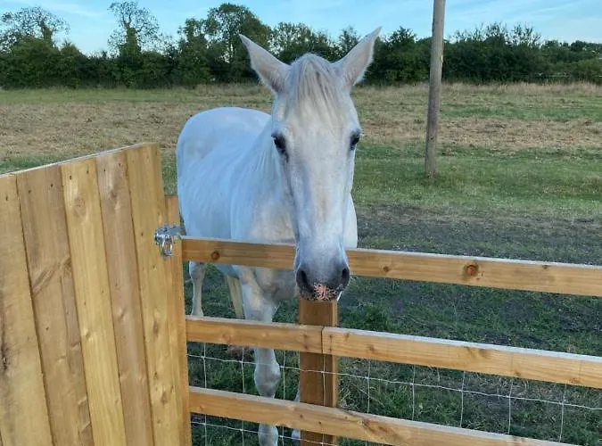 Mowbray Stable * Thirsk